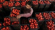 Tomatoes 5× costlier: How shutting Afghanistan border is hurting Pakistan 