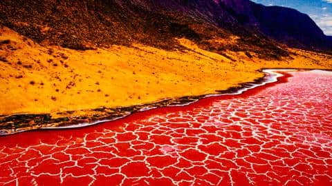 Lake Natron: The truth about the red lake of Tanzania Lake Natron: The truth about the red lake of Tanzania