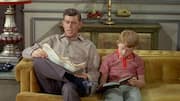 'The Andy Griffith' show showed us the best of America
