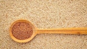 Teff grain: Nutrition, benefits, and uses 