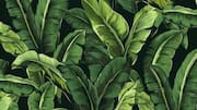 How to make beautiful wall art with banana leaves