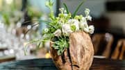 Coconut shell flower vases: A sustainable decor choice