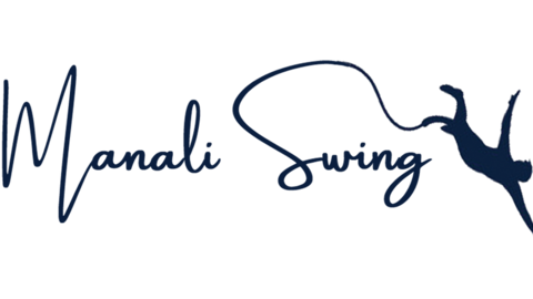 IIT Mandi-incubated startup to launch world's first AI-backed bungee swing IIT Mandi-incubated startup to launch world's first AI-backed bungee swing