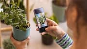 How to care for your plant? AI can guide you