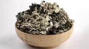 Stone flower spice: An ingredient with big flavor 