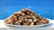 What is breadnut? 
