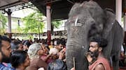 Elephant brought to temple for festival turns aggressive, kills mahout 
