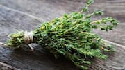 How thyme can completely change simple dishes 