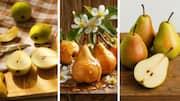 Like pears? Try these unique recipes featuring the fruit