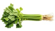 5 uses of wild celery