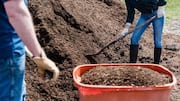 5 tips for a successful compost workshop
