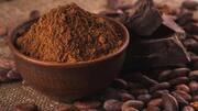 Why cocoa powder is your skin's best friend 