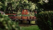 What makes Japanese zen gardens so special?