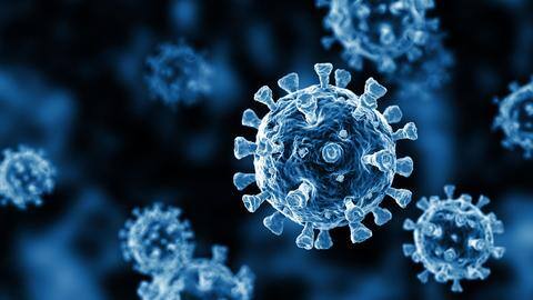 India reports 2 cases of Omicron variant, government says India reports 2 cases of Omicron variant, government says