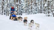 Adventure travel in Greenland: Top things to do