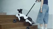 This Chinese robot dog can guide the visually impaired