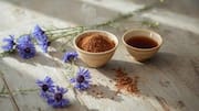 Why you should know about chicory root 