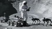 Robot dogs may guard China's research station on Moon