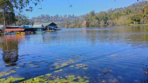 5 most popular things to do in Kodaikanal 5 most popular things to do in Kodaikanal