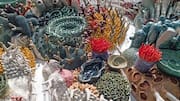African coral art: What makes it truly unique