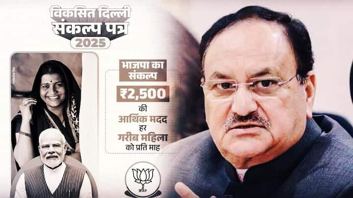 '₹21,000 for pregnant women, pension for seniors': BJP's Delhi manifesto 