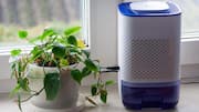 How to purify indoor air (on a budget)