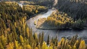 Finland's most beautiful national parks: A list 