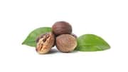 Shea leaves: A natural remedy for dull hair