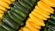 5 water-rich gourds to add to your meals