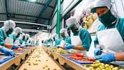 Fund allocation for food processing sector reduced in Budget 2026