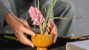 Ikebana: The Japanese art of arranging flowers with meaning