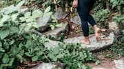 Gratitude walks: Simple habits for a happier mind