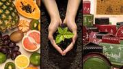 5 ecotourism festivals in India that worship nature 5 ecotourism festivals in India that worship nature