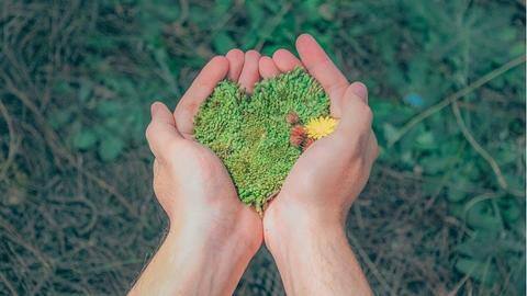 World Environment Day 2022: Eco-friendly changes to make at home World Environment Day 2022: Eco-friendly changes to make at home