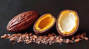 Cocoa husks: Your secret to glowing skin