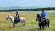 Horseback riding in Bulgaria's Rhodope Mountains: A guide