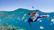 Top snorkeling spots in Finland 