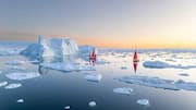 Discover the best of Greenland with boat tours 