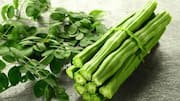 Why you must add drumstick leaves to your diet