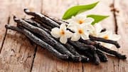 Madagascar vanilla: Why this variety stands out 