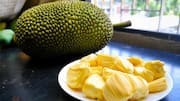 Why you must add jackfruit to your daily diet
