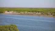 You must explore these marine reserves in Senegal