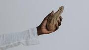 Kigelia Africana: The African ingredient that's popular in modern-day skincare