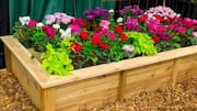How to turn old wooden boxes into plant pots