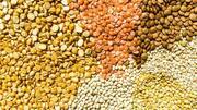 Toor dal v/s masoor dal: Comparing their nutrition
