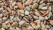 Buying seed snacks? Here's what you should know 