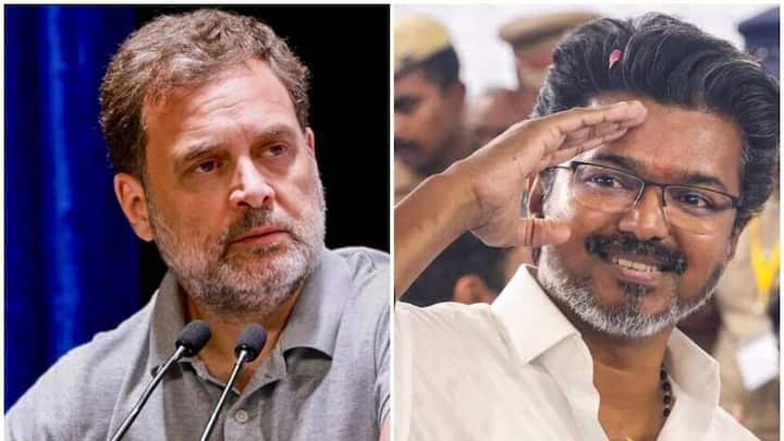 Congress extends full support to Vijay's TVK with a condition 
