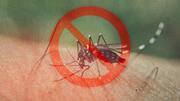 5 Dengue prevention tips you must follow