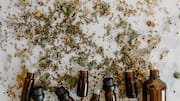 The surprising benefits of peppermint aroma