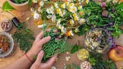Keep your lungs healthy with these herbal remedies 
